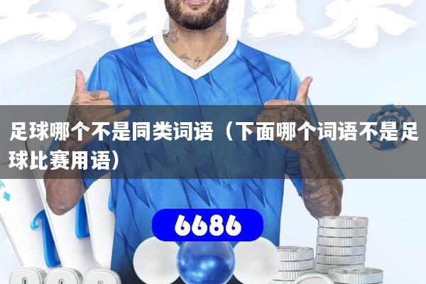 详细阅读:足球哪个不是同类词语(下面哪个词语不是足球比赛用语) 足球哪个不是同类词语(下面哪个词语不是足球比赛用语)
